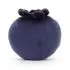 Fabulous Fruit Blueberry
