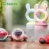 Fresh Food Teether Feeder - Pea Green