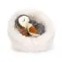Hibernating Penguin
