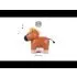 Musical Animal - Charles the Horse 