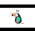 Musical Animal - Jean The Toucan