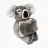 Hug Baby Quinn the Koala