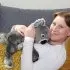 Quinn The Koala