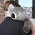 Quinn The Koala