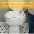Outsmart Toilet Lock