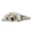 Desert Dog Chew Toy Joey