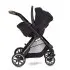 Reef Stroller - Orbit