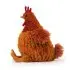 Fancifowl Cecile Chicken 10