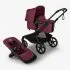 Kangaroo Complete Black/Dark Cherry