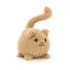 Kitten Caboodle Ginger 5
