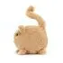 Kitten Caboodle Ginger 5