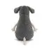 Lachlan Sad Rat