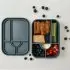 Large Silicone Sealed Lunch Box - Dust