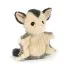 Lolly Sugar Glider