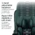 Kani 4-in-1 Car Seat - Authentic Sport