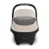 Mesa V3 Infant Car Seat - Ada