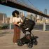 Mixx Next Stroller+ Pipa Travel System - Granite