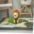 Musical Friends with Fur - Jackson The Lion