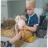 Musical Friends with Fur - Paulette The Hen