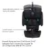 Nomad Plus Travel Car Seat - Authentic Black