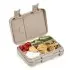 Bento Lunch Box - Fairy Bush