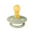 Original Colour Latex Pacifier - Sage/Ivory