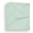 Double Layer Feathered Faux Fur Blanket - Green