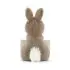 Messenger Bunny