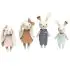 Rabbit Family