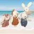 Rabbit Family