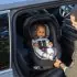 Revolve180 LiteMax NXT Rotational Infant Car Seat - Cinder Grey