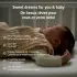 See Pro Standalone Baby Monitor