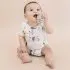 Short Sleeve Bodysuit - Hedgehogs