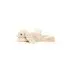 Smudge Rabbit Tiny