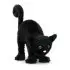 Spookipaws Cat