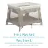 Swift Playard - Beyond Graphite