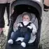 Newborn Inlay - Grey