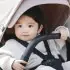 Shine Full Size Stroller with Silver Frame - Mallard Green