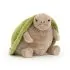 Timmy Turtle Big