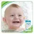 Bamboo Baby Tooth 'n' Gum Wipes 30 Count