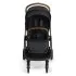 TRIV Next Stroller Caviar