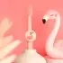 Truthbrush Starter Skin Flamingo