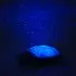 Twilight Turtle - Blue
