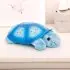 Twilight Turtle - Blue