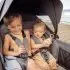 Comfort Seat for Toddlers XL