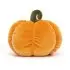 Vivacious Vegetable - Pumpkin