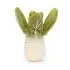 Vivacious Vegetable Bok Choy