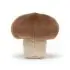 Vivacious Vegetable Mushroom