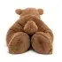 Woody Bear Lying