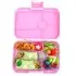 Tapas 5 Compartment - Capri Pink